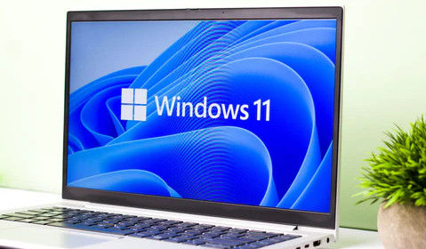 Windows 11 Pro OEM anglais 64 bits - Fonctionnalités commerciales avec licence numérique permanente