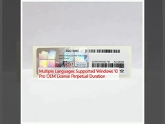 Support de plusieurs langues Windows 10 Pro Licence OEM Durée perpétuelle